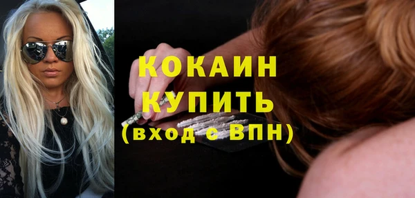 соль ск Алексин