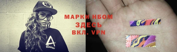 прущие грибы Алексеевка