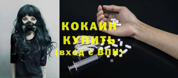 соль ск Алексин