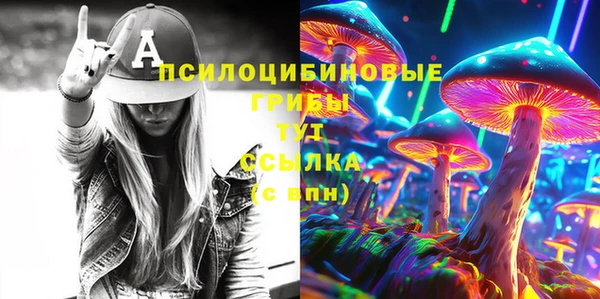 соль ск Алексин
