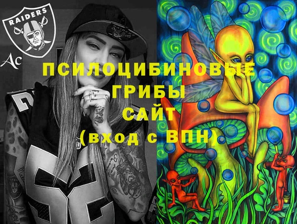 соль ск Алексин